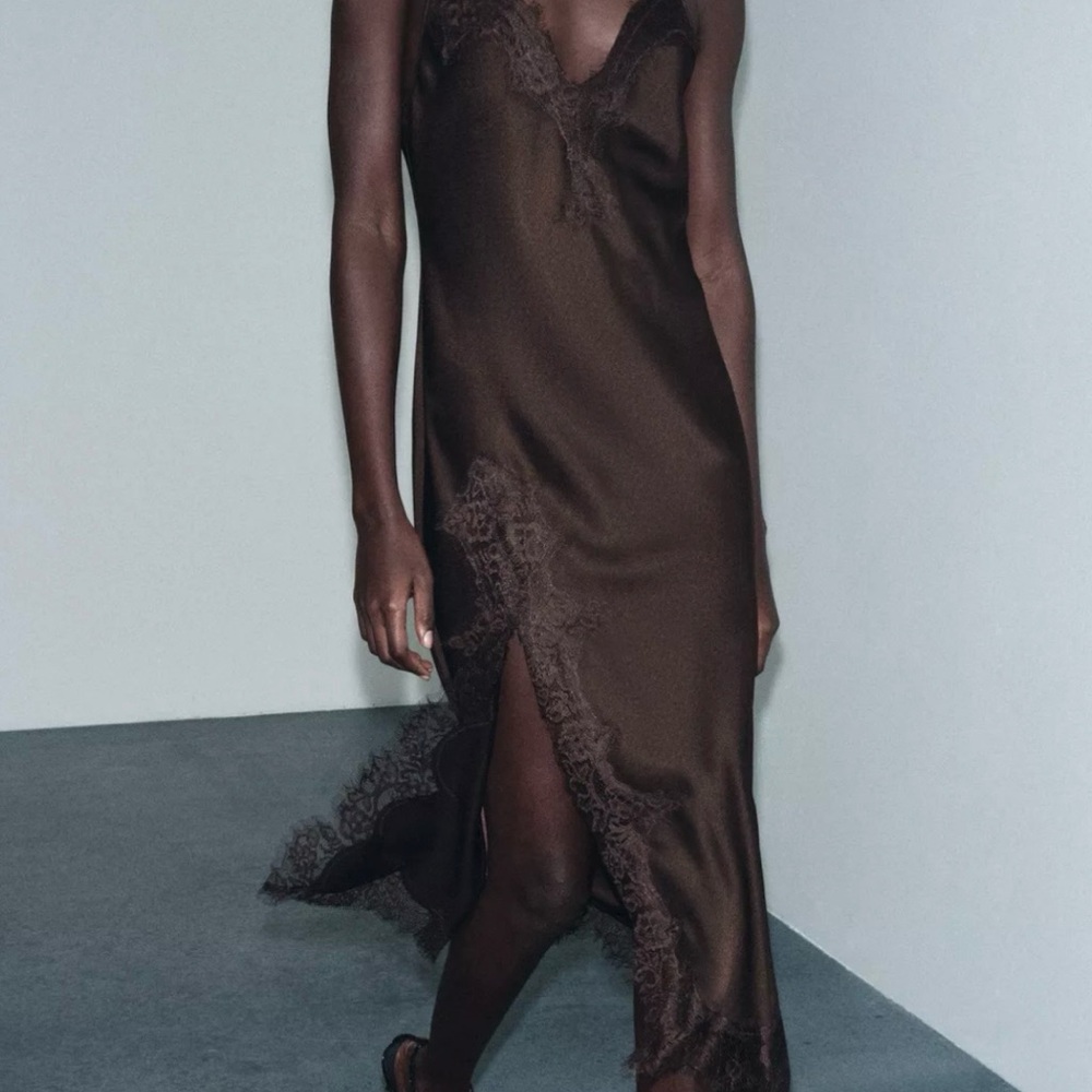 Zara Brown Lace Detail dress